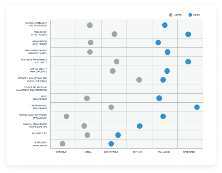 IT Management Maturity and
Roll-Out Plan