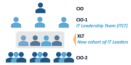 Formalized IT Leadership Structures: ITLT and XLT